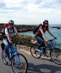 Full-Day Experience Rottnest Tour