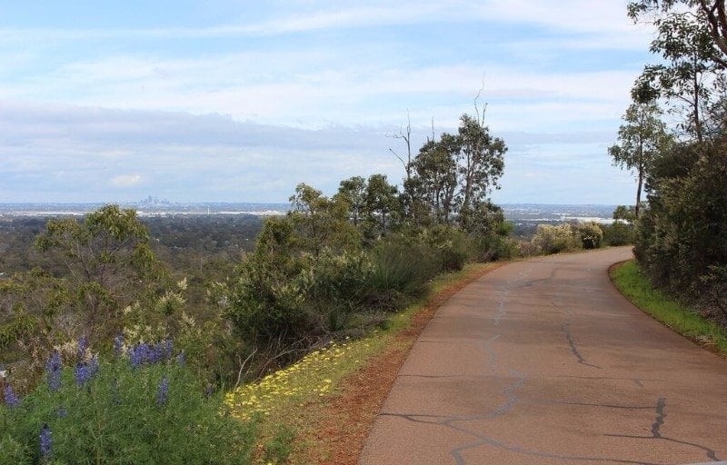 Fruit Orchard & Zig Zag on the hills