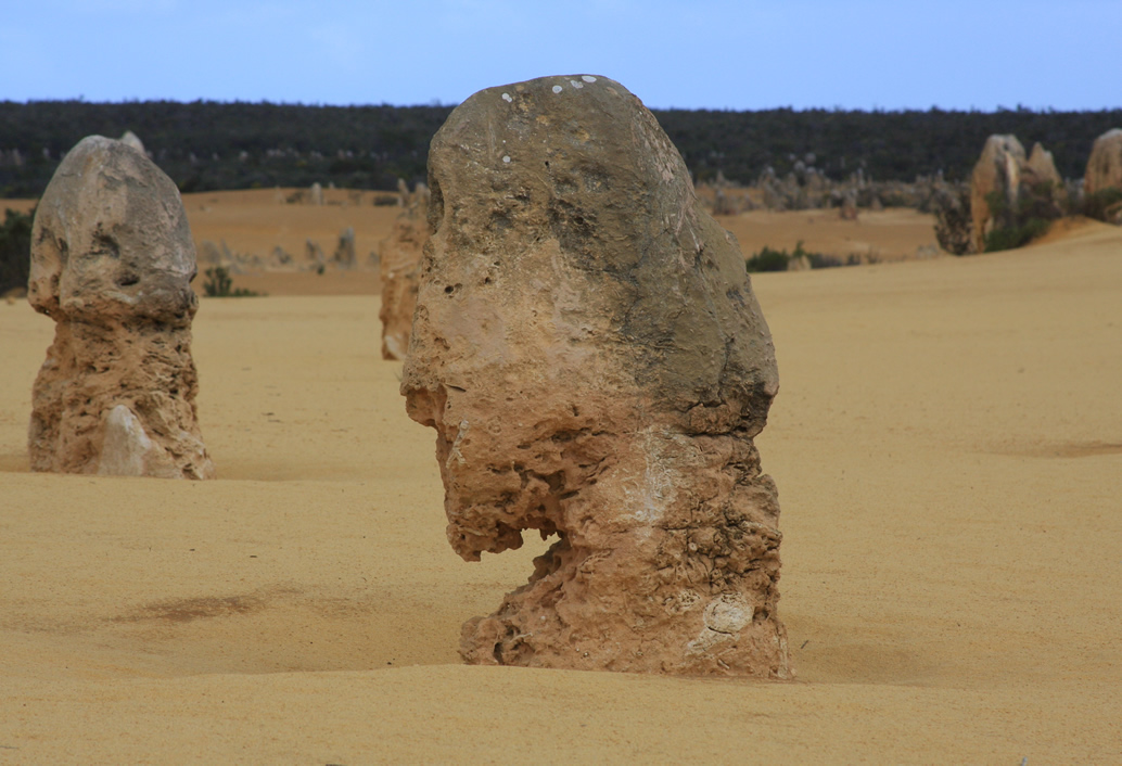 Pinnacles, Yanchep National Park & Lancelin (Optional Sandboarding & Lobster)