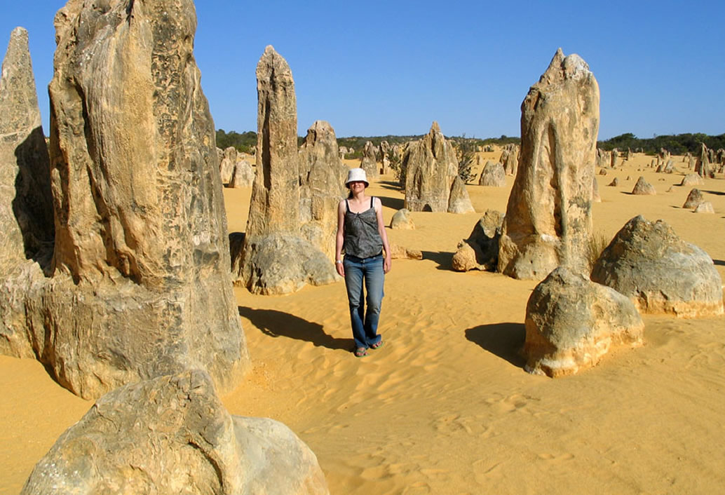 Pinnacles, Swan Valley Wildlife Park & Lancelin (Optional Sandboarding)