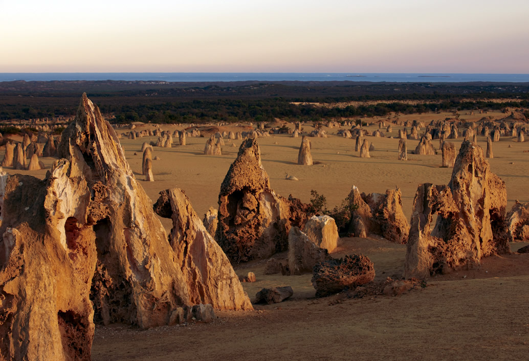 Pinnacles, Swan Valley Wildlife Park & Lancelin (Optional Sandboarding)