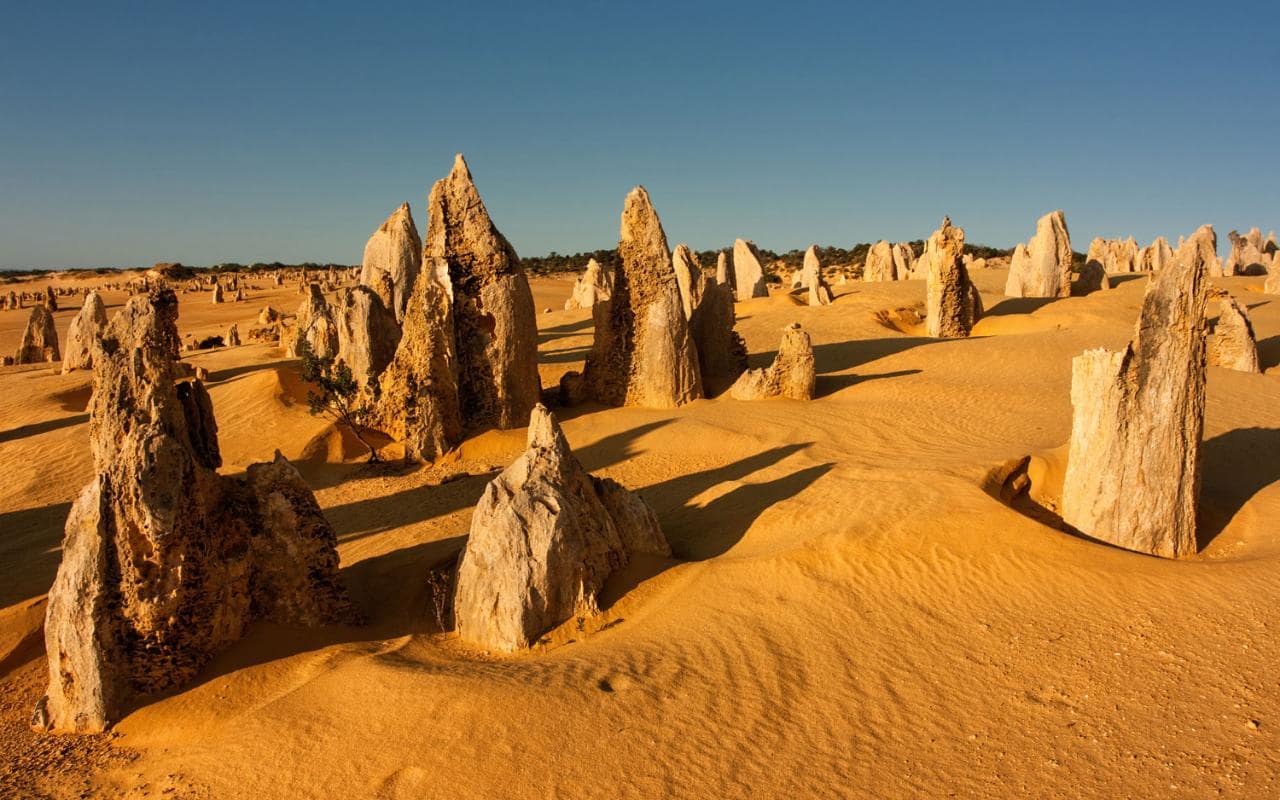 Pinnacles, Yanchep National Park & Lancelin (Optional Sandboarding & Lobster)