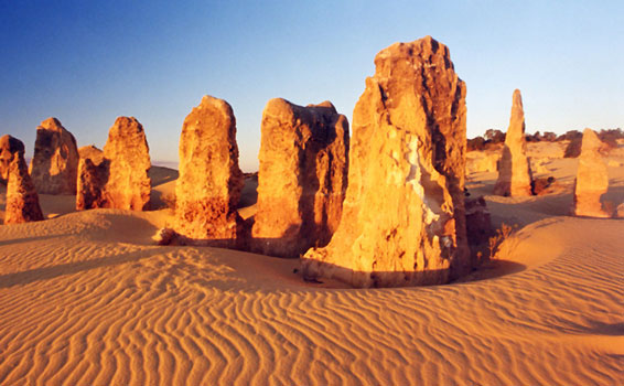 Full-Day Pinnacles, Swan Valley Wildlife Park & Lancelin (Optional Sandboarding)