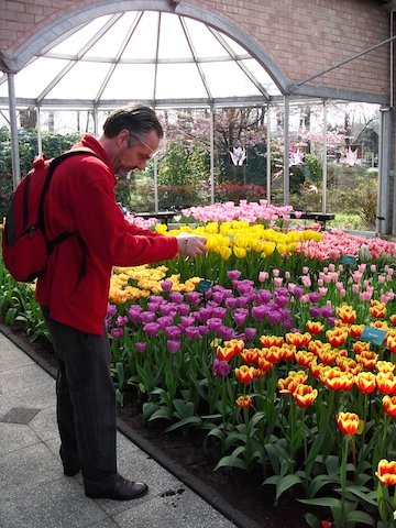 Keukenhof Tulip Garden and Haarlem