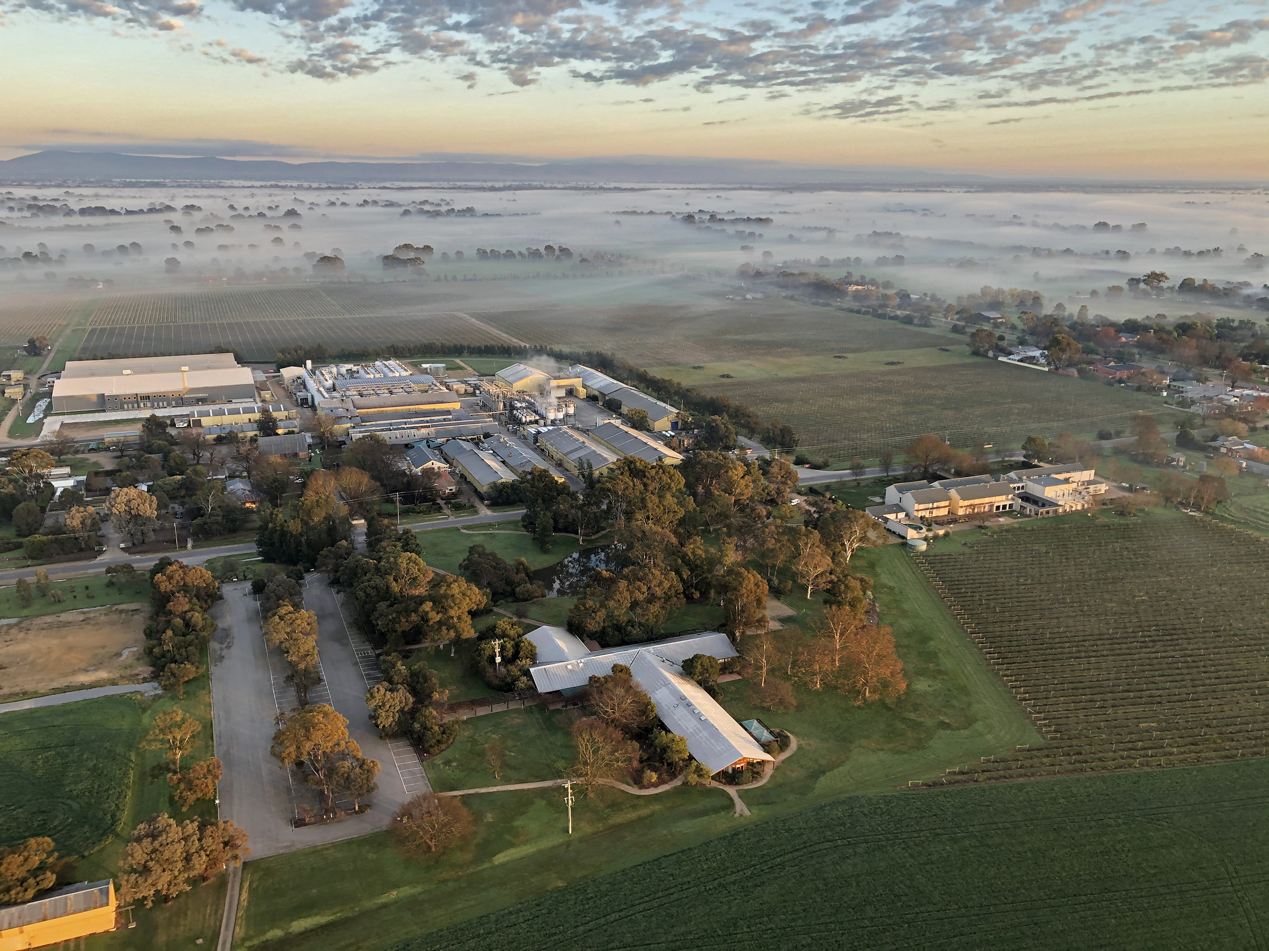 King Valley Balloon Flight