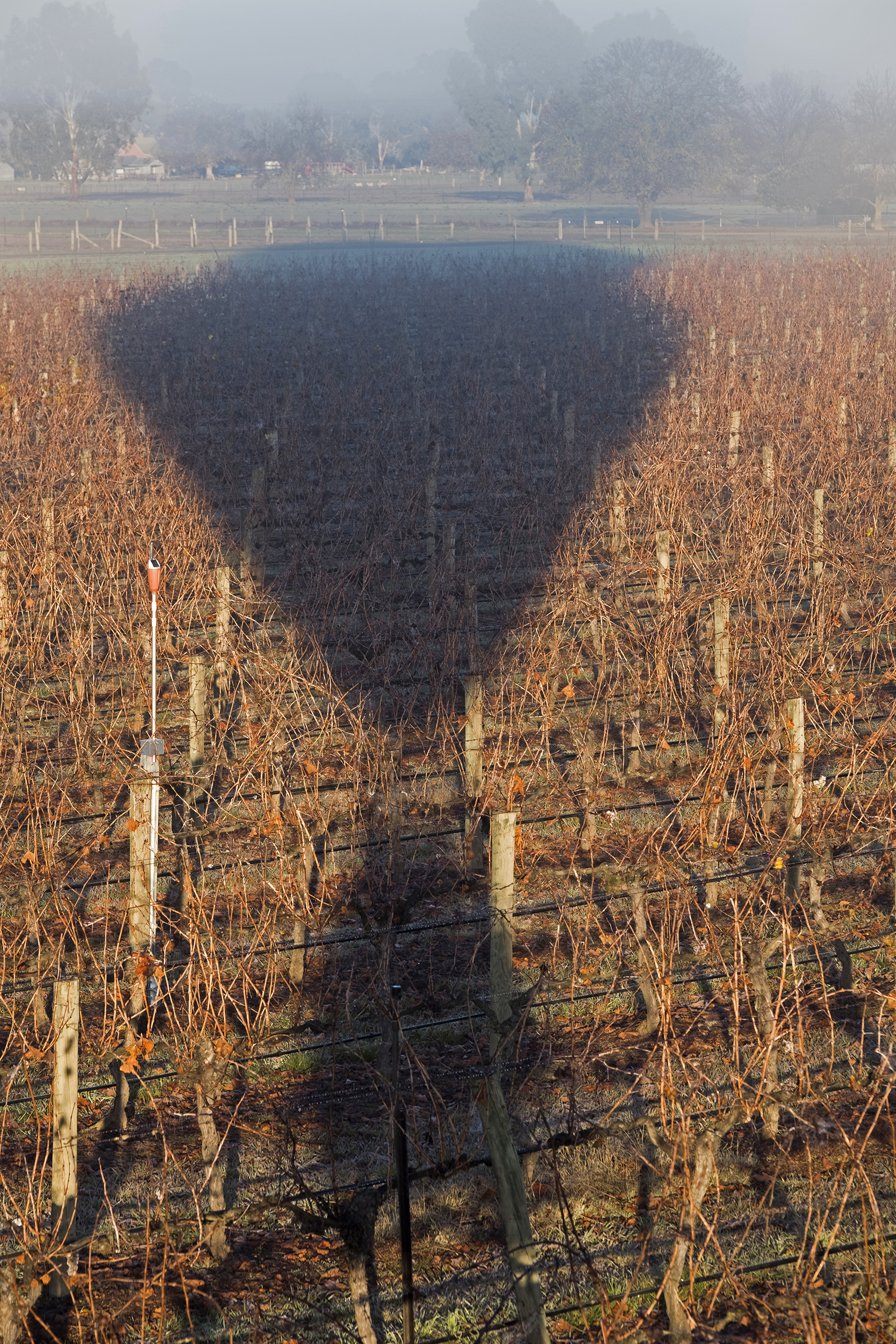 King Valley Balloon Flight