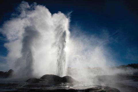 Te Puia Geothermal, Culture and Kiwi Discovery Tour