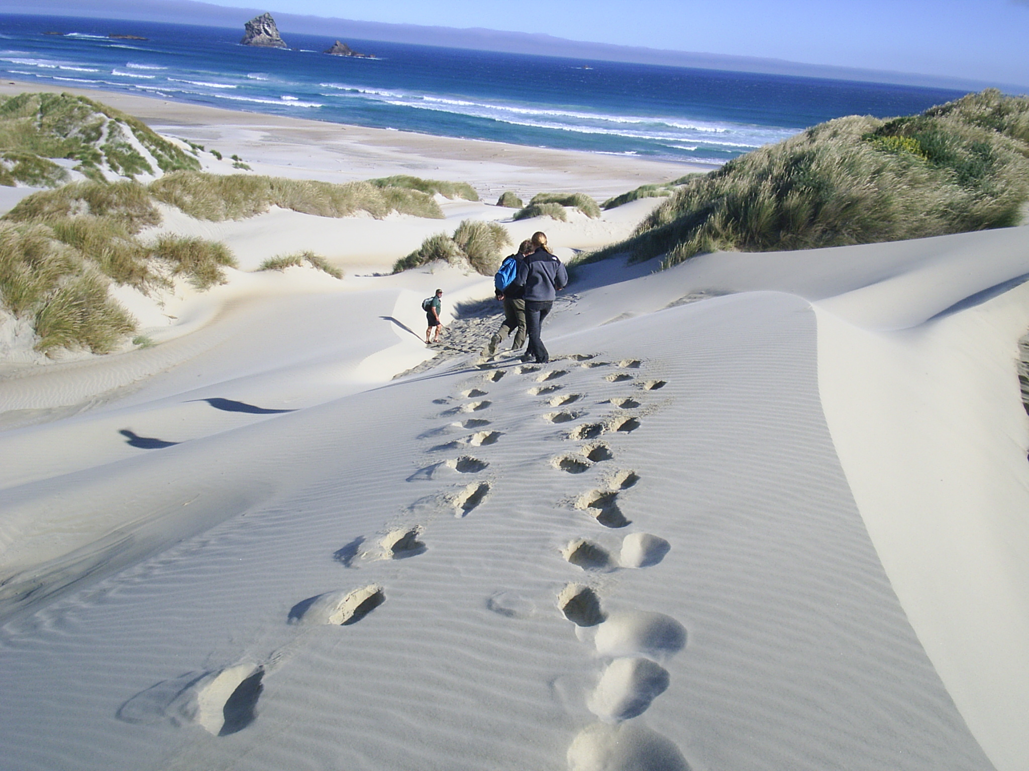 Lovers Leap Coastal Walk