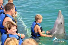 Dolphin Explorer - All Programs