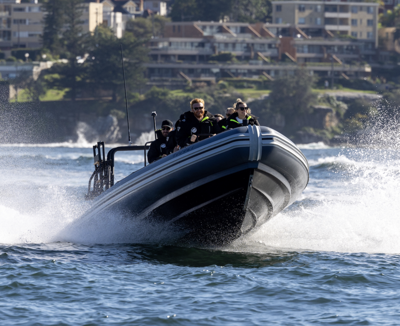 Whale Watching on vessel ORCA - Circular Quay Departure