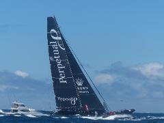 Boxing Day - Sydney to Hobart race experience - Departs Circular Quay - on vessel Osprey
