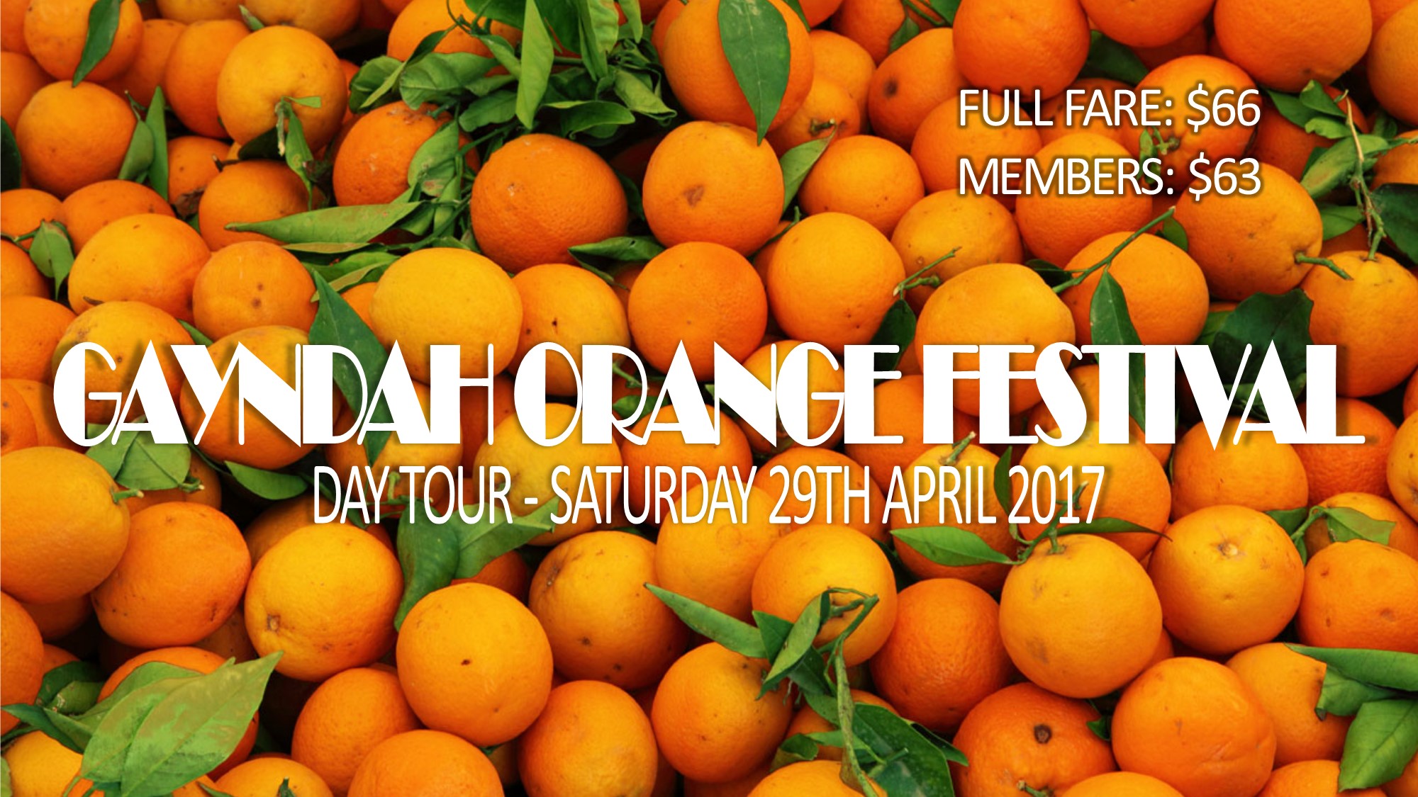 Gayndah Orange Festival Day Tour Bundaberg Coaches Reservations