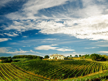 Chianti and Panzanello Winery from Rome