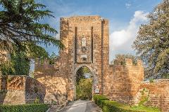 Orvieto: la perla della Tuscia -  Visita Guidata Virtuale (Registrata) 