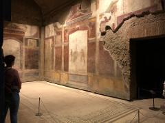 Il Palatino: Il Sacro Colle di Roma -  Visita Guidata Virtuale (Registrata) 