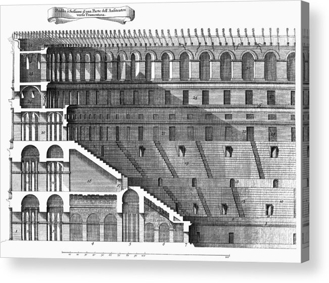 The Colosseum and the Life of the Gladiators - Virtual Guided Tour ...