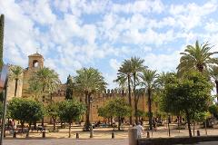 Tour Privato alla Mezquita di Cordoba con Visita al Campanile