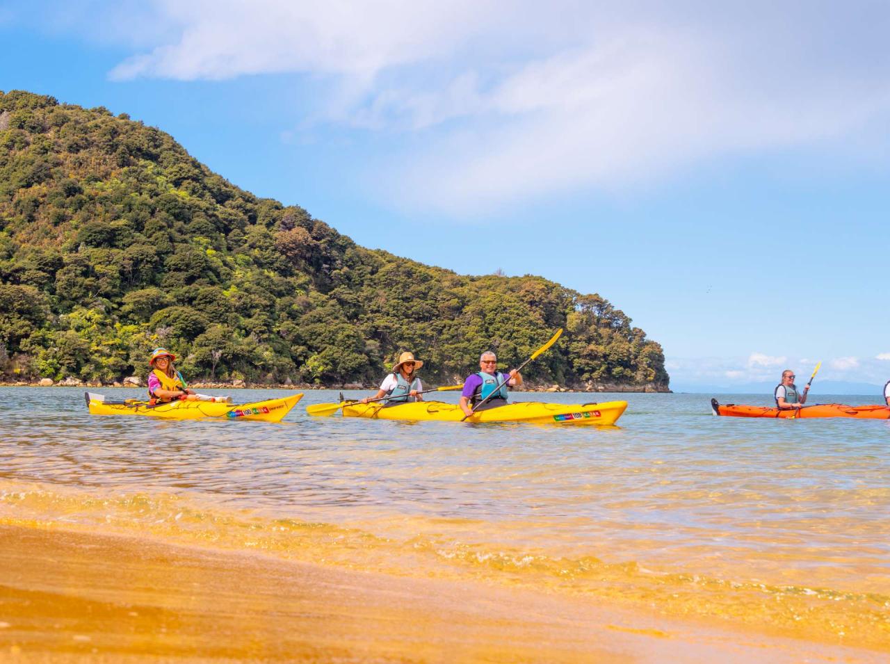 Kayak Awaroa Full Day Guided Kayak Tour