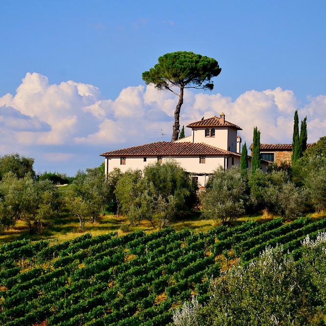 Tuscany Culinary Tour: May 7 - 11, 2023