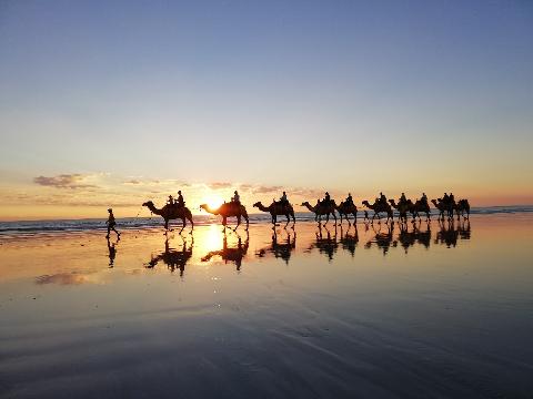 Sunset Cable Beach Camels