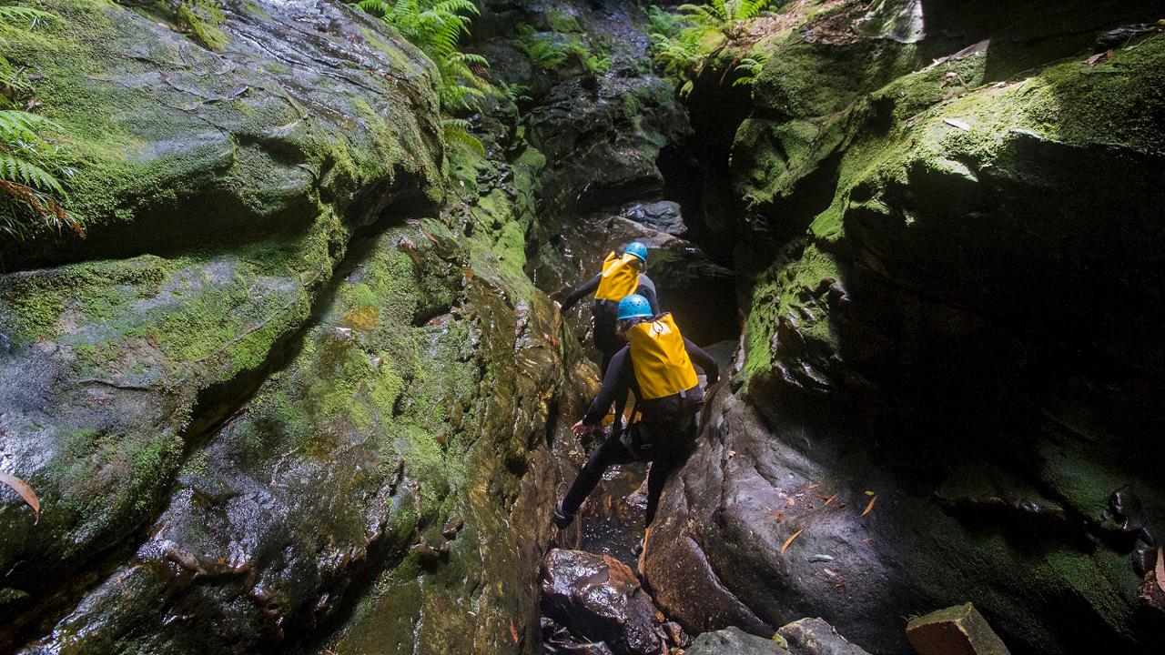 Canyoning - Intermediate - Bowen's Creek Canyon