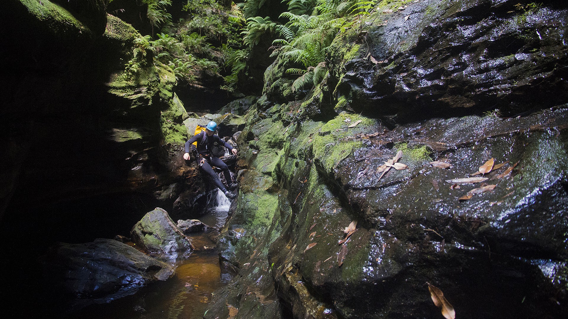 Canyoning - Intermediate - Serendipity Canyon