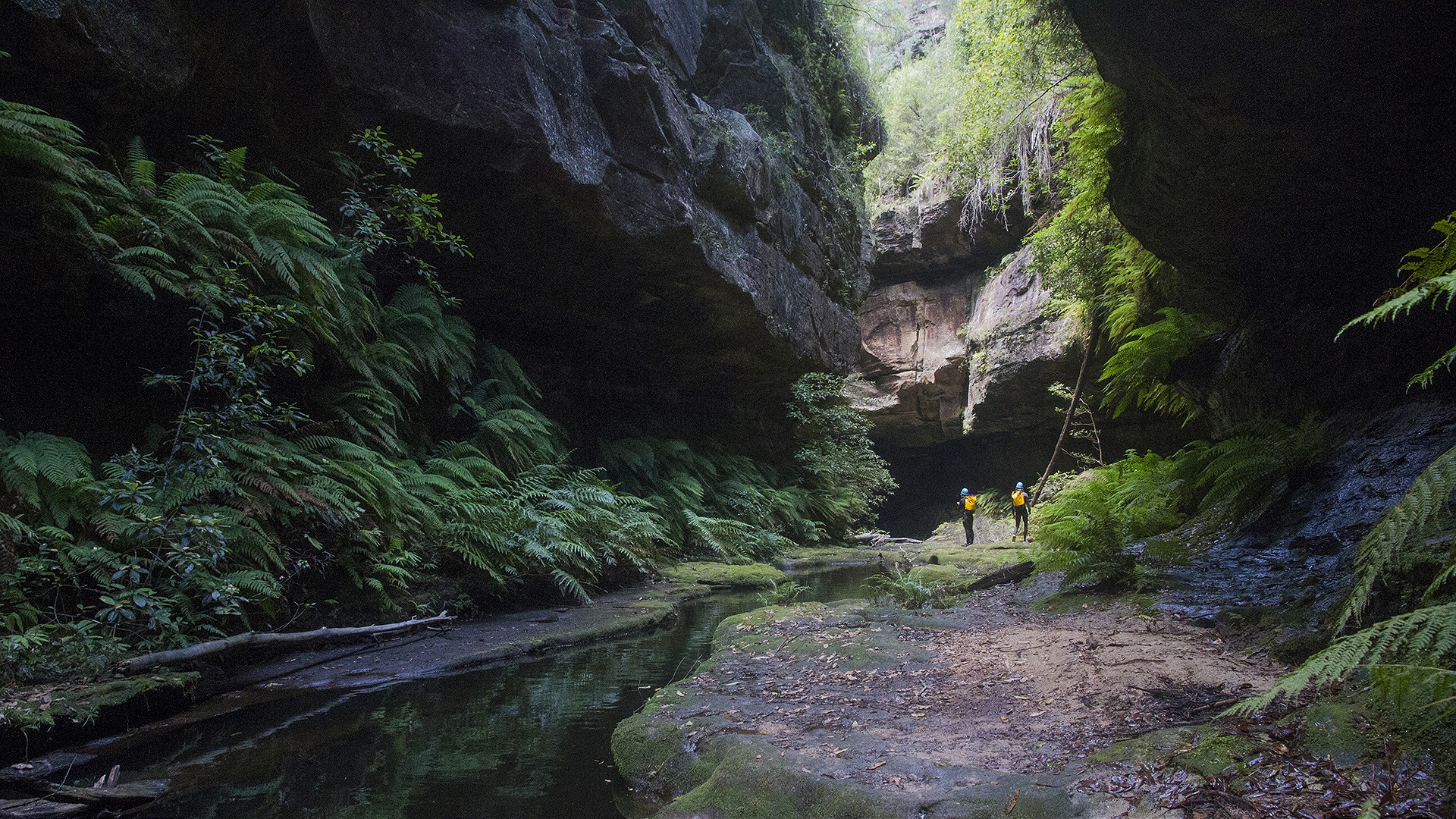Canyoning - Introductory - Wollangambe Canyon