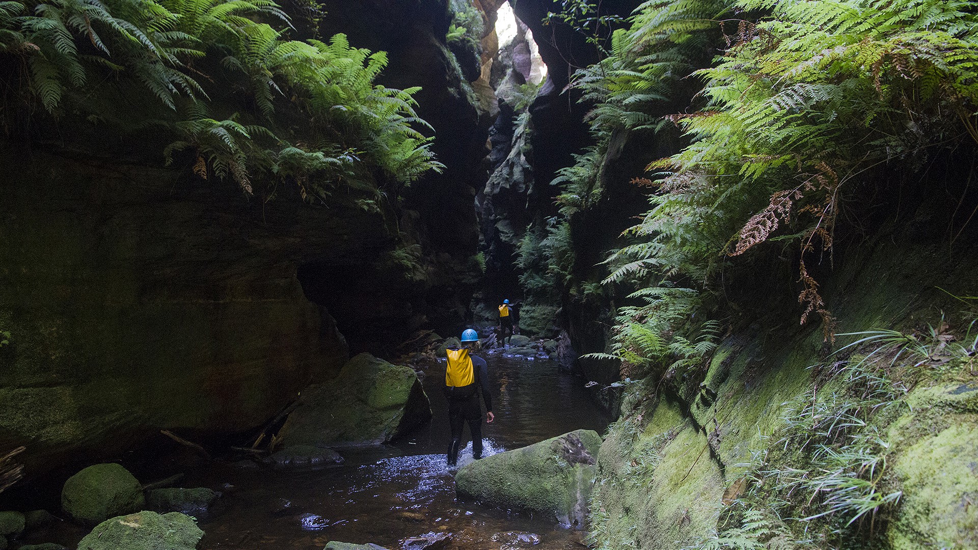 Canyoning - Introductory - Sheep Dip & Rocky Creek Canyon