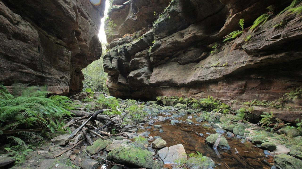 Canyoning - Introductory - Wollangambe Canyon