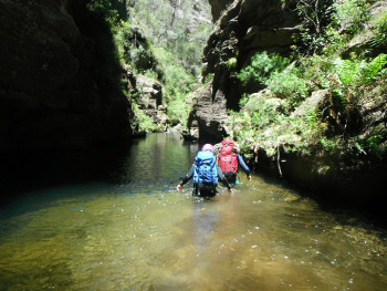 Canyoning - Introductory - Wollangambe Canyon