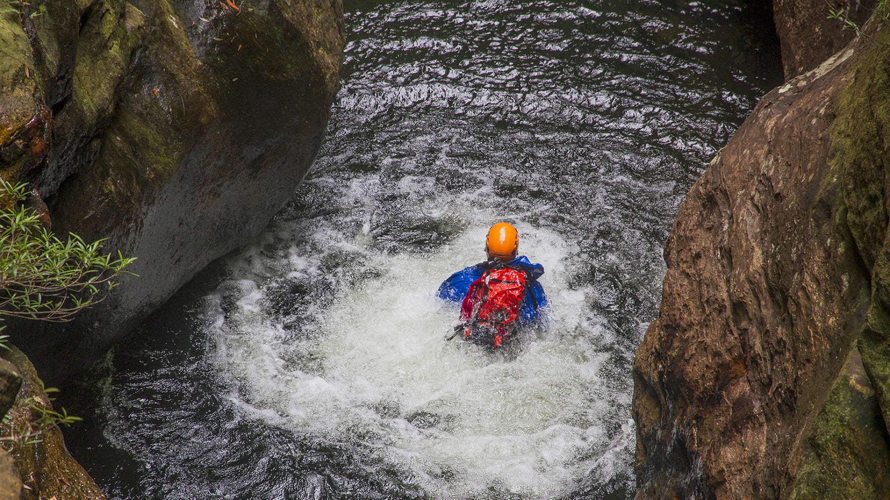 Canyoning - Introductory - Wollangambe Canyon