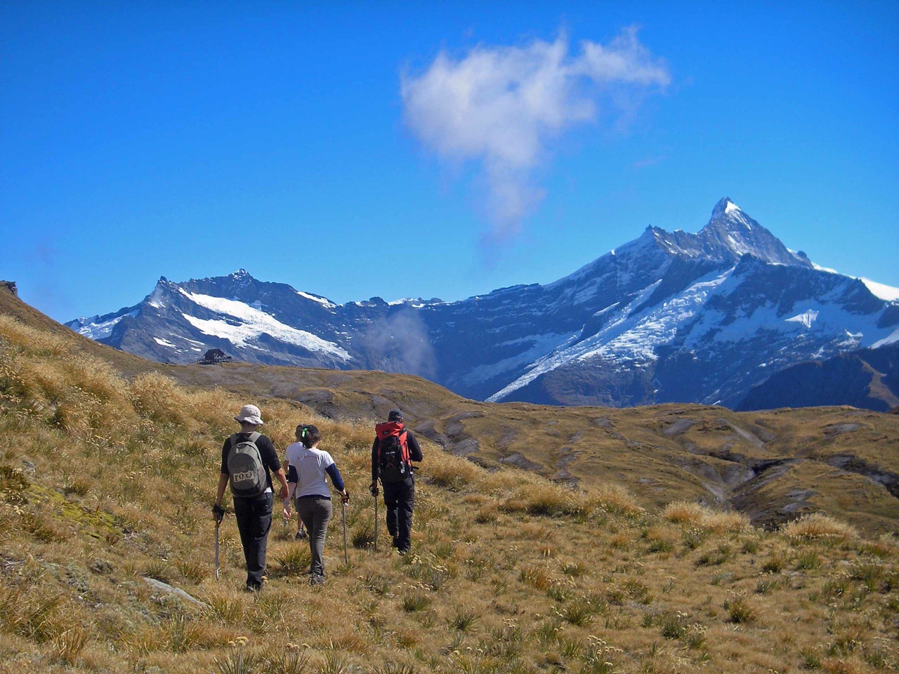 Whare Kea Chalet - Guided Heli-hike with picnic lunch