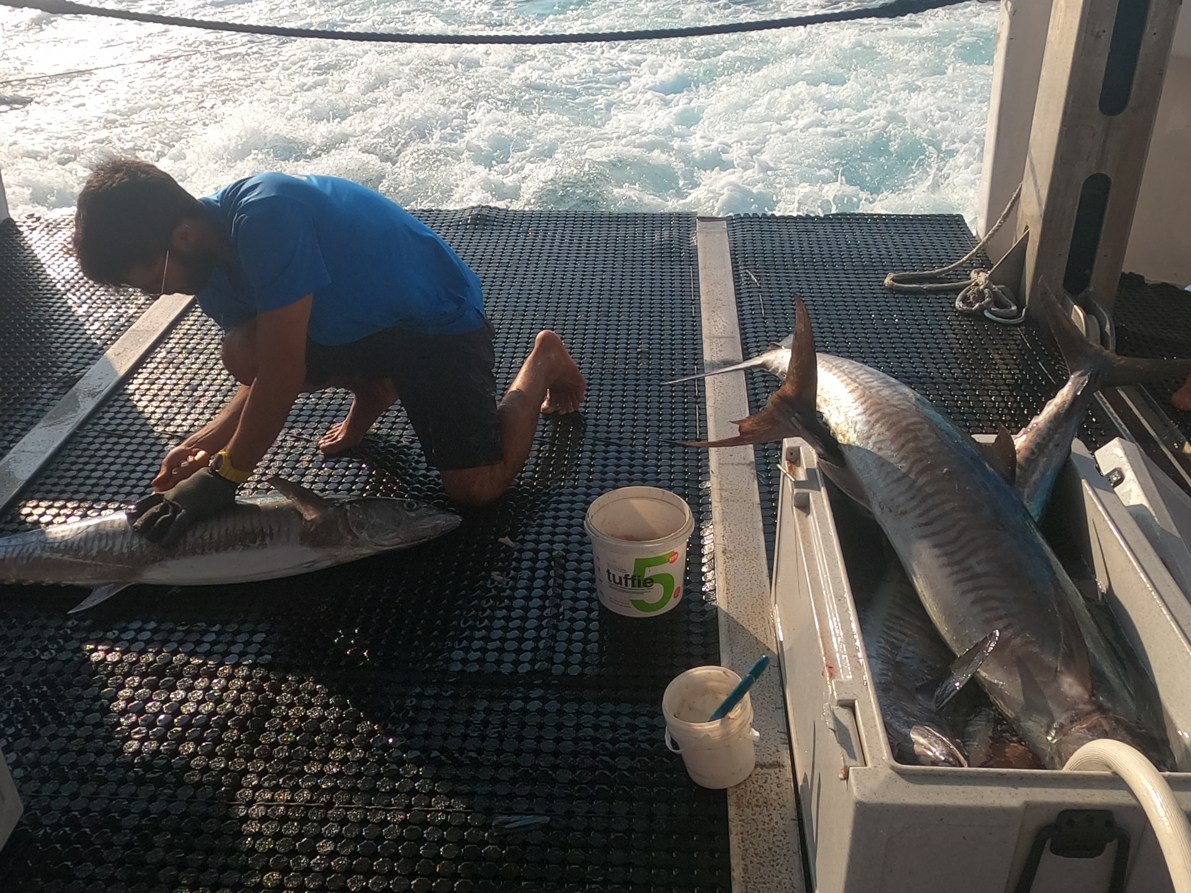 Montebello Islands 2026