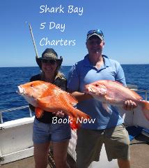   Shark Bay 5 day FISHING Charter