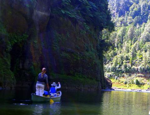 4 Day Whanganui National Park Canoe - Canoe Safaris 