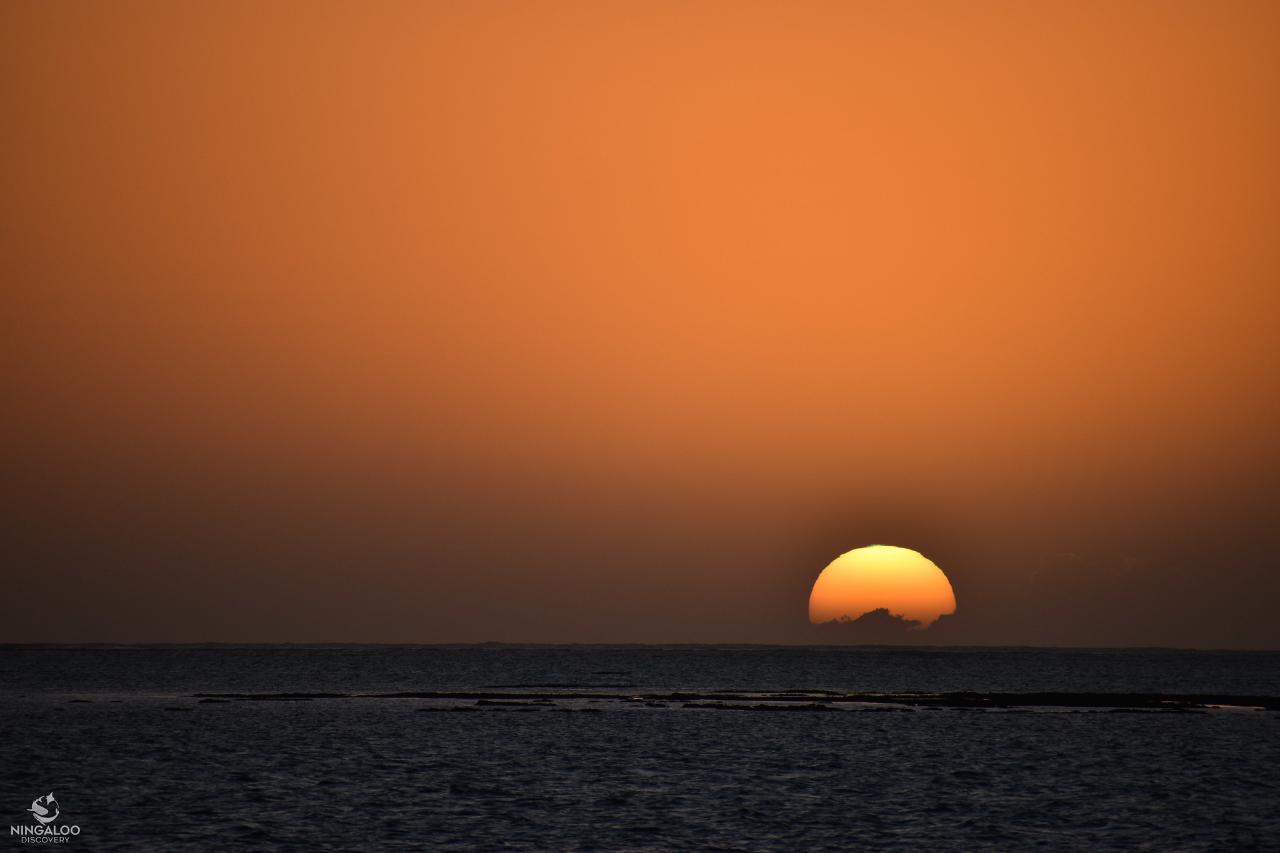 Ningaloo Reef Sunset Sails