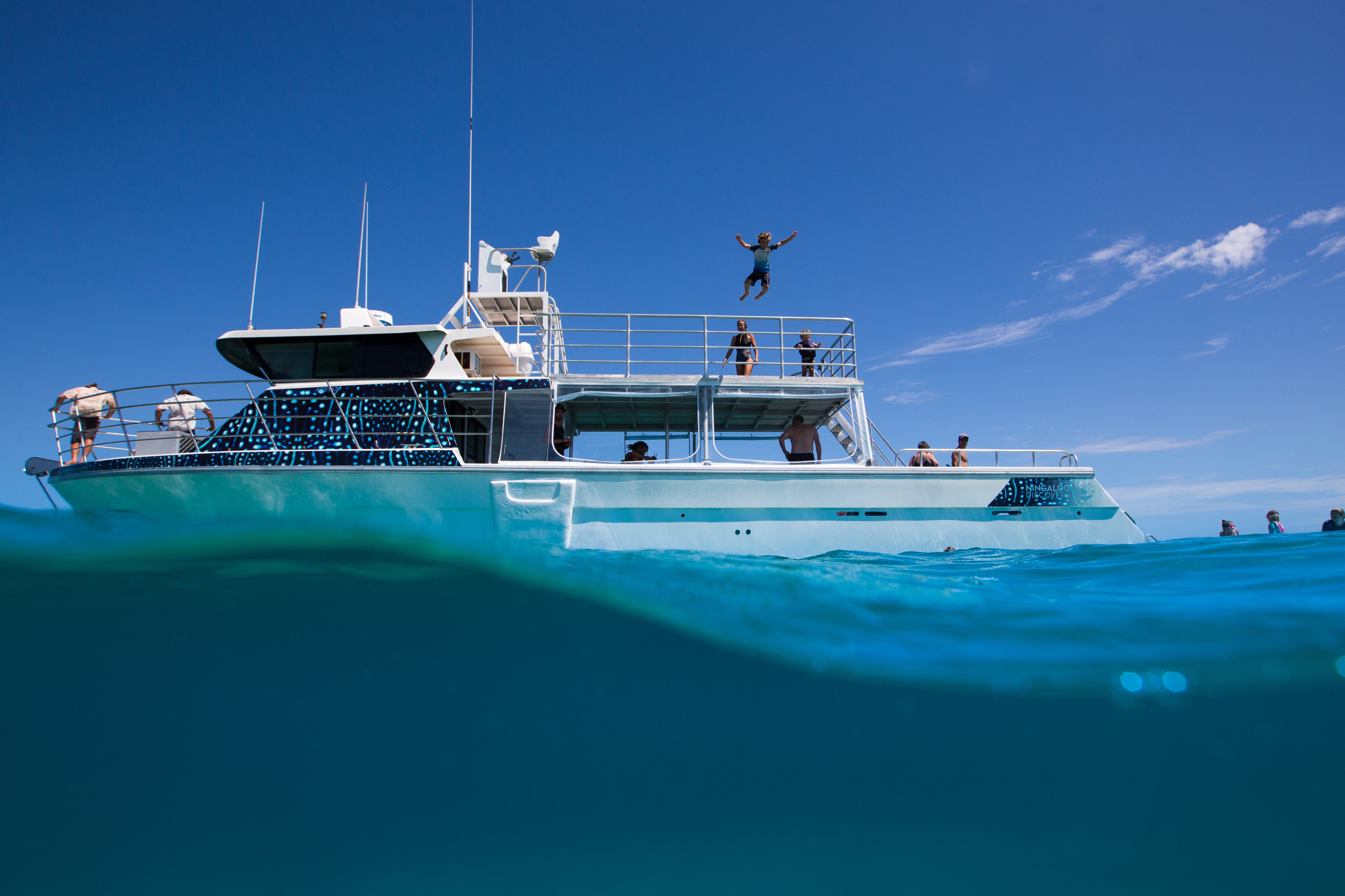 Ningaloo Whale Shark Swim on a Powerboat**