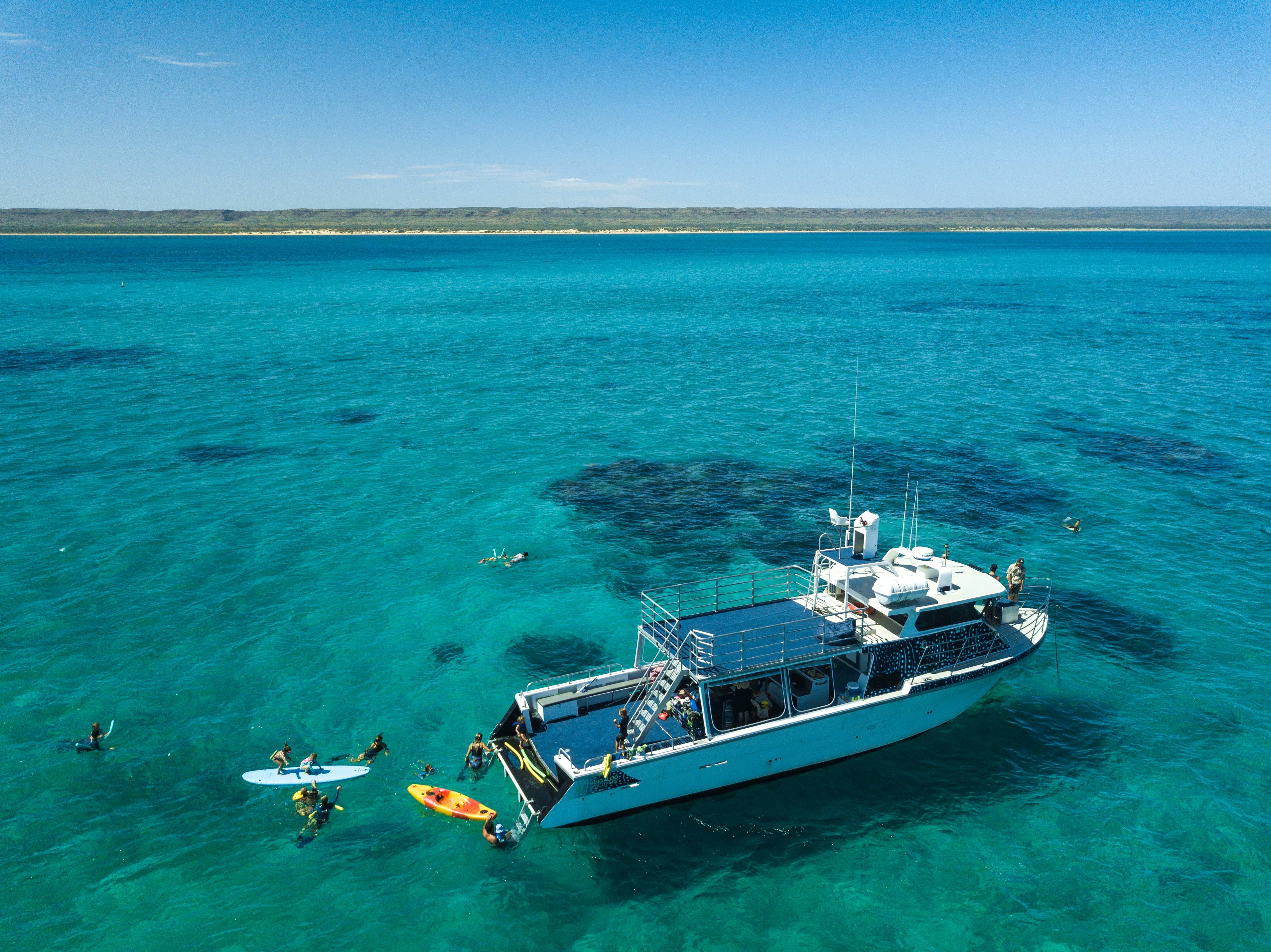 Ningaloo Whale Shark Swim on a Powerboat**