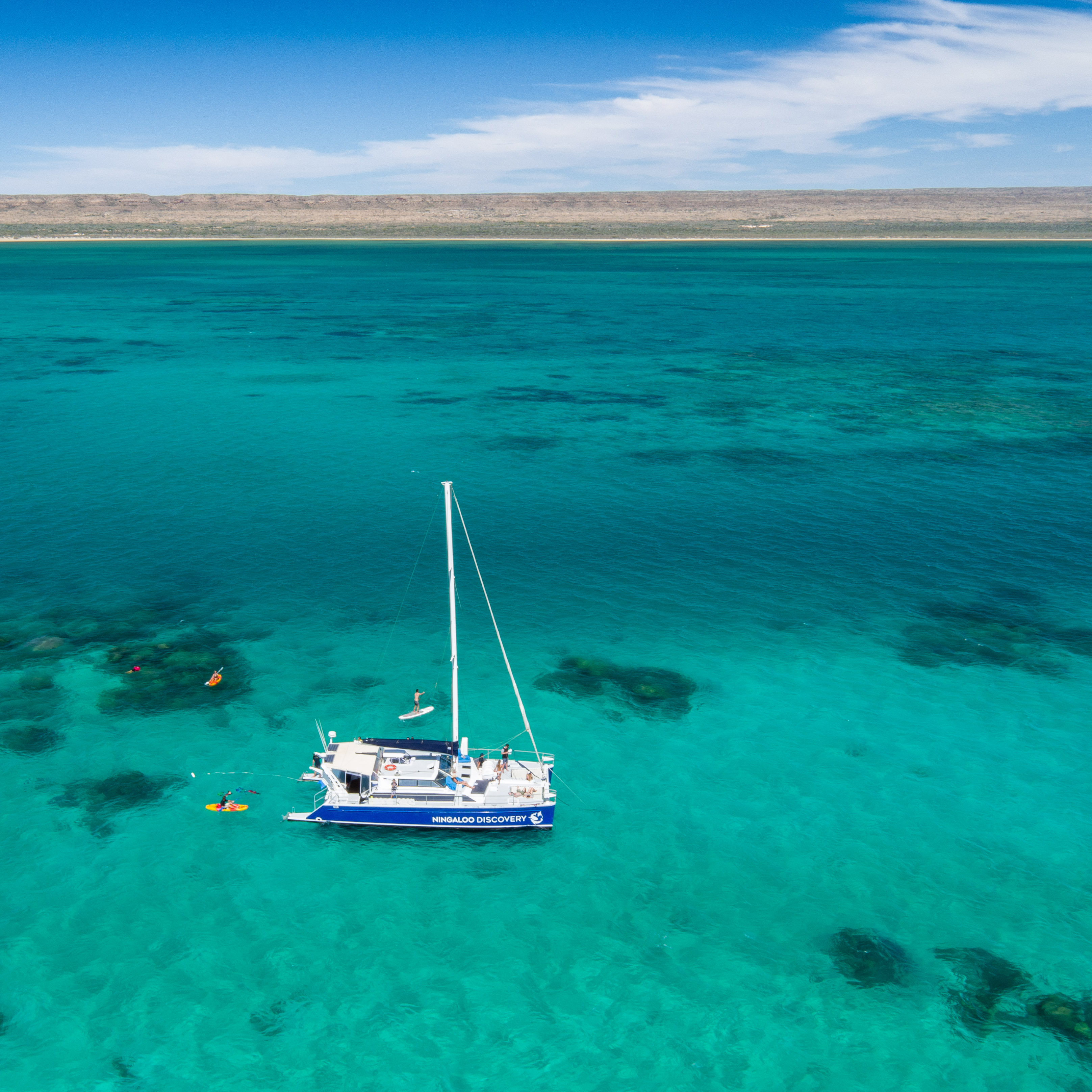 Ningaloo Whale Shark Swim & Eco Tour on a Sailing Catamaran (shoulder season)