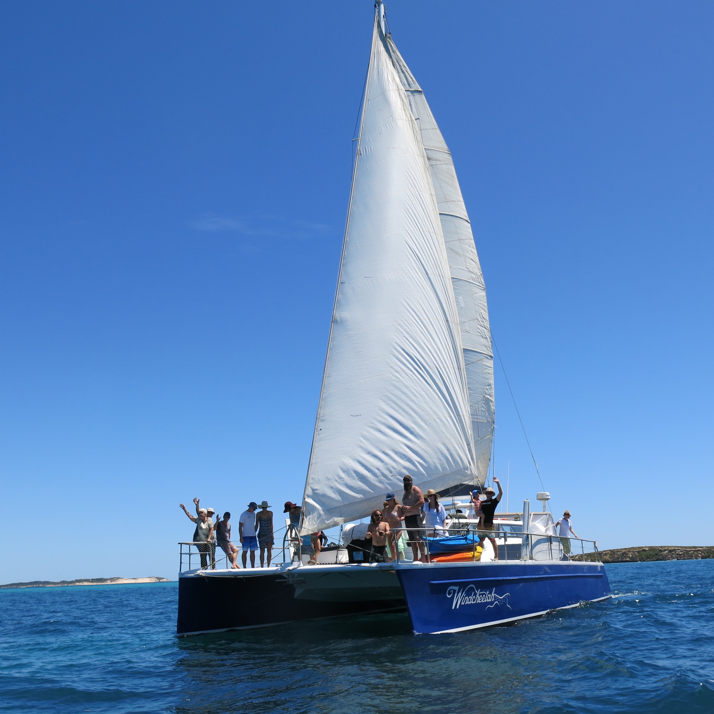 Ningaloo Humpback Whale Swim on a Sailing Catamaran