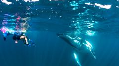 Gift Voucher - Ningaloo Humpback Whale Swim on a Sailing Catamaran