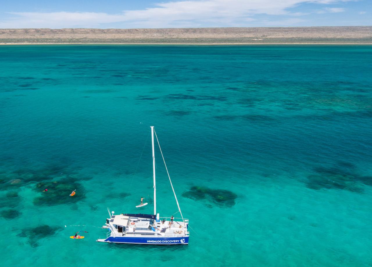 Gift Voucher - Ningaloo Whale Shark Swim & Eco Tour on a Sailing Catamaran (shoulder season)