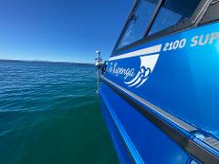 Te Kupenga, Two hour private fishing charter