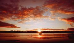 7pm SCENIC Ngātoroirangi Māori Rock Carvings boat cruise- Sunset 