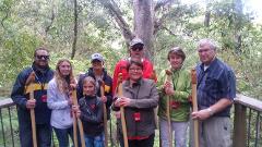 Combo - Kauri Forest Walk & Waterfall Discovery Kayak Tour 