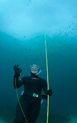 SSI Freediver Level 1