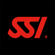 SSI PROFESSIONAL ONBOARDING
