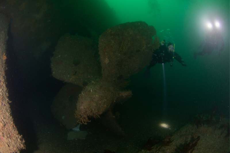 Waikato Wreck - 2 Dives