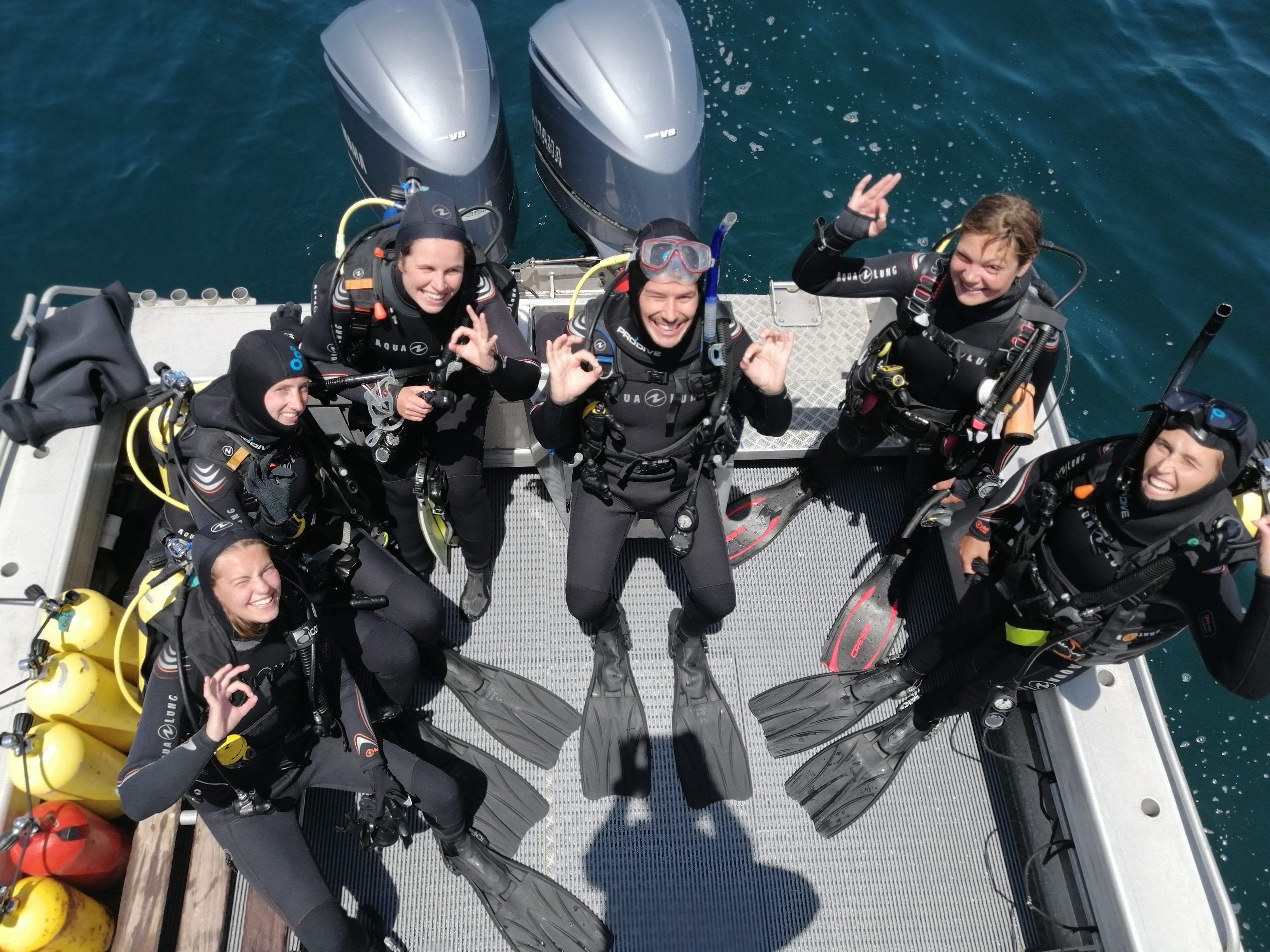 Paihia Dive Club Membership Paihia Dive Reservations