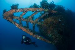 Rainbow Warrior Wreck and Reef Trip